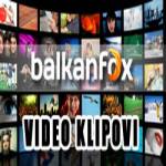 Video klipovi Profile Picture