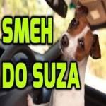 Smeh do suza Profile Picture