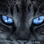 Rahela Skoic Profile Picture