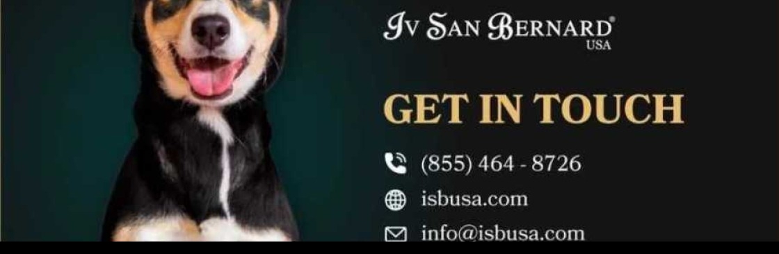isbusa Cover Image